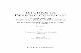 Estudios de Derecho Comercial - raestudiojuridico.com