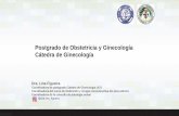 Postgrado de Obstetricia y Ginecología Cátedra de Ginecología