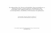Evaluación de Heterorhabditis bacteriophora y Steinernema ...