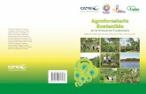 Agroforestería Sostenible