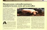 Nuevos síndromes entéricos en el cerdo