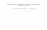 Informe Consulta Publica - Ensenada - Agosto 2021