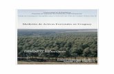 Medición de Activos Forestales en Uruguay