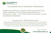 La situación de la Amazonia Colombiana