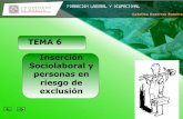 TEMA 6 Inserción Sociolaboral y personas en riesgo de