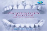 Anatomia dental (2a. ed.) - odontoinfo.com