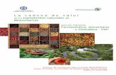 Informe Cadena Ingredientes Naturales Biocomercio Dic09