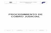 PROCEDIMIENTO DE COBRO JUDICIAL