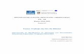 Tema: Trabajo de Fin de Máster - Universitat de Barcelona
