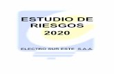 ESTUDIO DE RIESGOS 2020 - else.com.pe