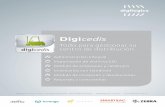 Digicedis - Digilogics