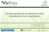 ACUMULACIÓN DE NUTRIENTES EN EL DESARROLLO DE LA …