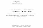 INFI'QRME TECNICO CURSO/TALLER