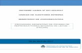 INFORME UAIMA Nº 007-001/2017 UNIDAD DE AUDITORÍA …