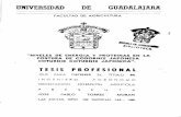 UIIVERSIDAD DE GUADAL - repositorio.cucba.udg.mx:8080