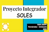 Proyecto Integrador SOLES