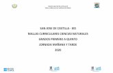 SAN JOSE DE CASTILLA - IED MALLAS CURRICULARES CIENCIAS ...