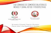 Las cámaras de comercio bilaterales México y China. Retos ...