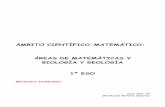 ÁMBITO CIENTÍFICO-MATEMÁTICO: ÁREAS DE MATEMÁTICAS Y ...