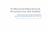 Tribunal Electoral Provincia de Salta