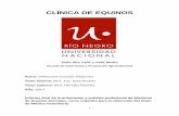 CLÍNICA DE EQUINOS - rid.unrn.edu.ar