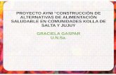 PROYECTO AYNI “CONSTRUCCIÓN DE ALTERNATIVAS DE ...