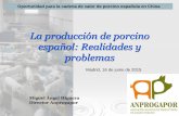 La producción de porcino español: Realidades y problemas