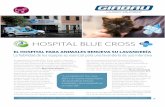 HOSPITAL BLUE CROSS - GIRBAU