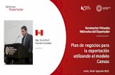 Mg. Enzo Raúl Puente Custodio Plan de negocios para la ...