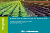 Cultivos hortícolas al aire libre - Publicaciones Cajamar