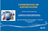 CONSORCIOS DE EXPORTACIÓN