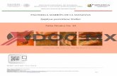 PALOMILLA MARRÓN DE LA MANZANA - xdoc.mx