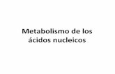 Metabolismo de los ácidos nucleicos