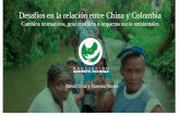 Desafíos en la relación entre China y Colombia