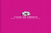 ARTICULOS Y - .:: CAMS DE MÉXICO