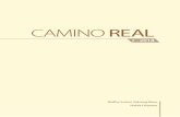 Camino REAL 2-2018 - RSSB