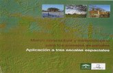 Marco conceptual y metodológico para los paisajes españoles.