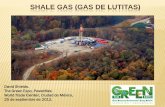 Shale gas (gas de lutitas) - ejkrause.com.mx