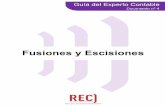 Registro de Expertos Contables - economiadehoy.es
