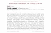 Brasero Baños de Valdearados - Cátedra de Estudios del ...