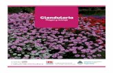 Glandularia - repositorio.inta.gob.ar