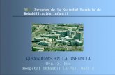 XIII Jornadas de la Sociedad Española de Rehabilitación ...
