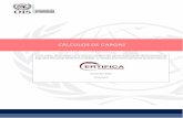 CÁLCULOS DE CARGAS - Certifica Latam