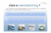 Presentación Metigentity resumen - CODNIB