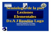 Semiología de la piel og Lesiones Elementales Dr.AJ Rondón ...