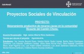 Proyectos Sociales de Vinculación