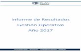 Informe de Resultados Gestión Operativa Año 2017