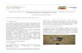 Vehículos Aéreos no Tipulados (UAVs) en exploración minera ...