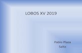 LOBOS XV 2019 - Fundieh