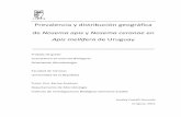 Prevalencia y distribución geográfica de Nosema apis y ...